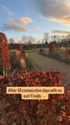 It has been the most shockingly miserable start to 2026 with constant rain every day (very unusual for this part of NE Scotland) and 19 consecutive days of no sunshine! so today was a day to celebrate! The sun appeared for a couple of hours, hats and coats were removed and the fruit tree pruning continued. Hoping for a couple of dry days so the soil can finally be worked too! Sending love to all the gardeners out there struggling with the weather 🥰 #walledgarden #february #rainfordays | Gordon 
