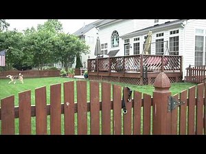 PetSafe KeepSafe® Collar