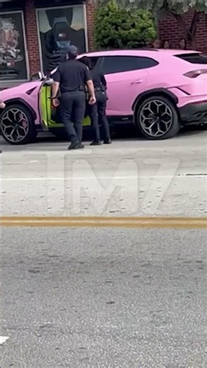 OnlyFans Model Celina Powell Arrested, Pink Lamborghini Surrounded by Cops