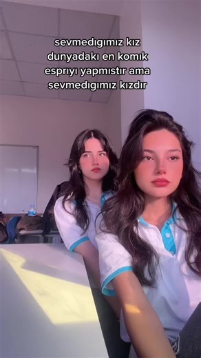 Understanding Classroom Dynamics in Educational Settings