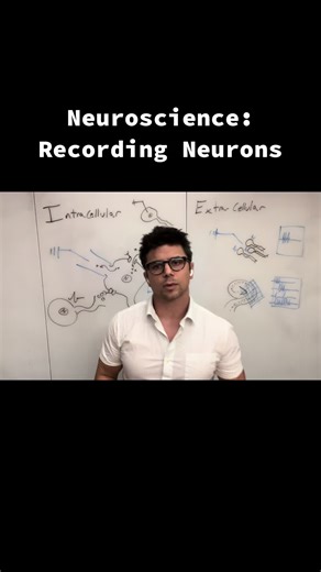 Recording Neurons: Intracellular vs. Extracellular | JohnTok