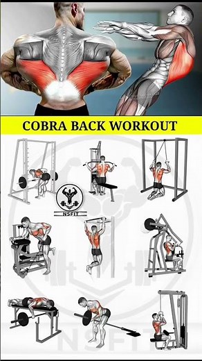 “Back Gains Quick Routine 🔥 #Shorts