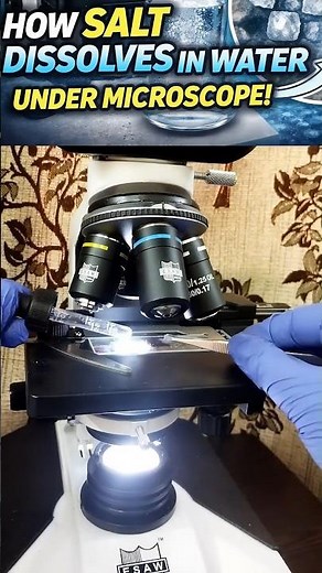 Salt Dissolving in Water Under Microscope #science #trending #viral#biology#shorts#trending#ytshorts