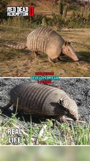Real Life vs RDR 2 Comparison #22 | Armadillo Comparison