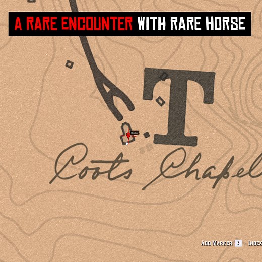 A rare horse with this encounter that many players actually missed in their playthrough... #reddeadredemption2 #rdr2 #gaming #fyp | Arthur Morgan