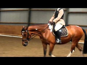 British Dressage Intro B walk trot test 72.17%