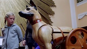 Wooden sculptures designed to honor bravery of wounded military dogs
