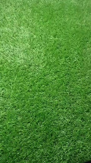 458 reactions |  With the Tummy Trimmer, get a flat tummy and stronger core — right at home.  Struggling with belly fat? No worries! ✅ Easy to use ✅ Lightweight & portable ✅ Results in just minutes daily ✅ Cash on Delivery | Fitness Fusion | Facebook