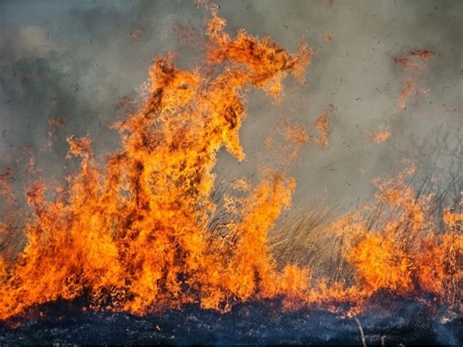 Firefighters Battle Brush Fire Near Train Tracks, Route 202 In Bridgewater