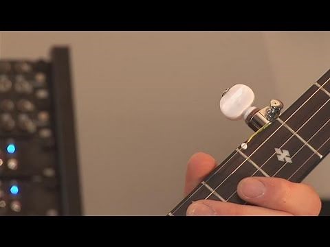 How To Understand The Parts Of A Banjo