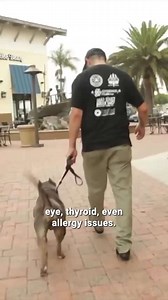 Best dogs for apartment living