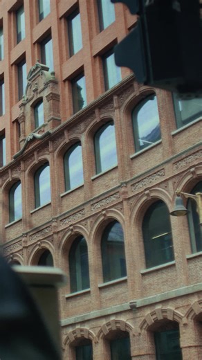 Braun Büffel on TikTok