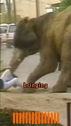 Tragic Circus Rampage: The Shocking Story of Tyke the Elephant 🐘💔 #animals #nature #shorts
