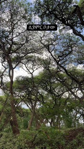 Solo Trip Diary: A Beautiful Addis Ababa Park