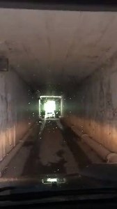 2.1K views · 23 reactions | Increible, pero cierto. En el pueblo de Cayey te encuentras con este túnel en una carretera rural. Le llaman el "Tunel Tenebroso" | Turistta | Facebook