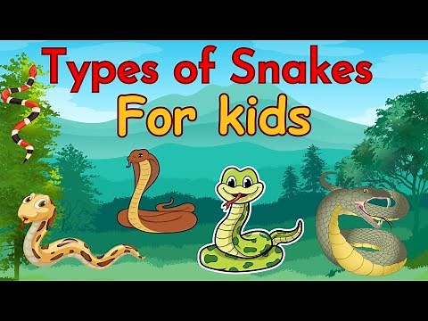 Types of snakes for kids | SNAKES | SNAKES FOR KIDS | KIDS EDUCATION |ANIMALS