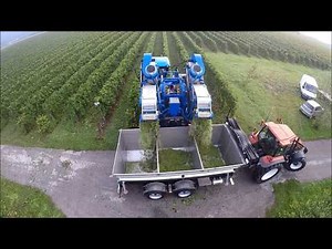 Grape Harvest | NEWHOLLAND POWER - Braud 9060L, Braud VL6070 & TM135
