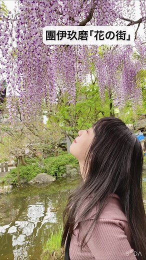 團伊玖磨｢花の街｣を歌いました😊 #ソプラノ歌手 #ソプラノ #オペラ歌手 #歌ってみた #歌ってみた動画 #声楽 #日本歌曲 #童謡 #團伊玖磨 #花の街