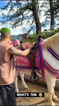 funniest shorts 🤣 #fyp #comedy #shorts