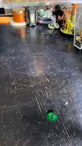 Tarantula Feeding Time! #reels #spider #tarantula #insect #animal #biology | The Molinaro Snake Lab