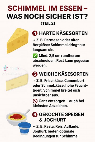 Schimmel entdeckt – retten oder entsorgen?