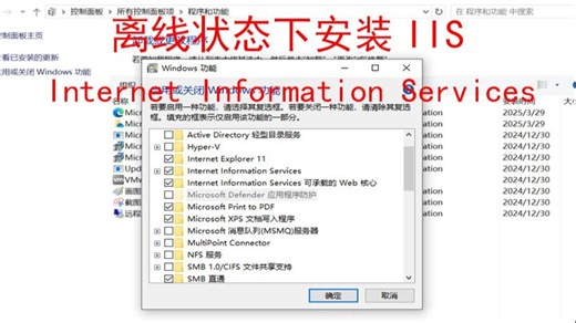 离线状态下安装iis，安装iis，无网络状态下安装iis，安装Internet Information Services，无法安装iis
