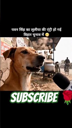 ✓1Day ln The Life 🎁🇮🇳 #trending #funny #comedy #shortsfeed #video #ekmotahathighumechala 🗨️🗨️