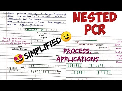 Nested PCR (process, steps, applications) #types of pcr#technique #biotechnology #molecular_biology