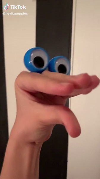 Puppy Comedy Moments that Will Make You Laugh