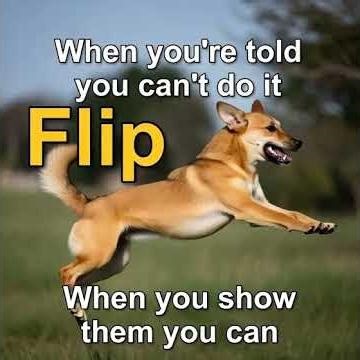 They Said I Couldn't Do It: Watch This Dog Flip and Win! #shortvideo