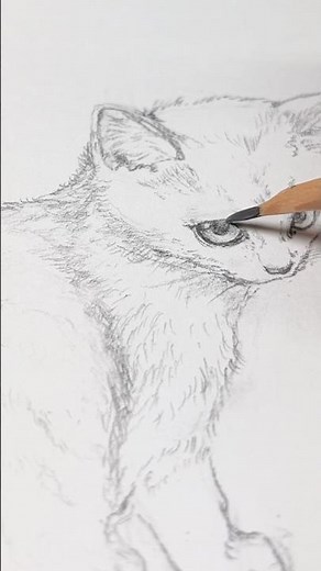 子猫 お絵描きチャレンジ【鉛筆デッサン】 #イラストメイキング #pencildrawing #drawing #art #sketch