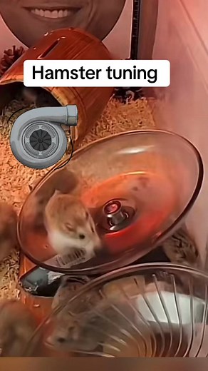 Non Stop Funny Videos on Reels