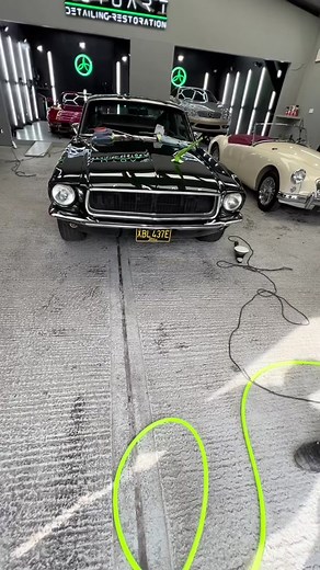 67 Fastback Reunion: A Wheeler Dealers Story
