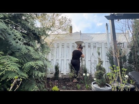 Creating Height & Color in the Garden 🌸 | Tall Container + Americana Window Box progress