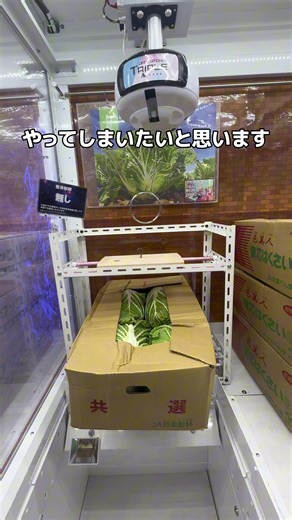 イチゴ高スギィぃ！クレーンゲーム攻略法