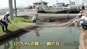 57K views · 217 reactions | Tak payah susah2 nak tebar jala. Guna je teknik macam orang jepun ni :) | Video Store | Facebook