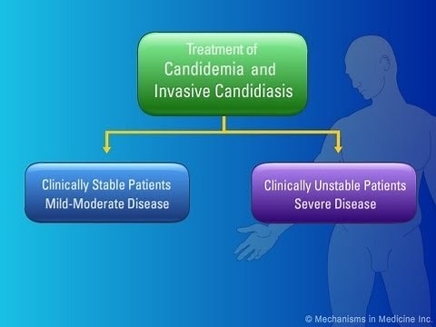 Candidemia/Invasive Candidiasis Treatment Algorithm