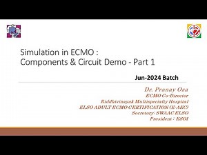 Components & Circuit Demo - Part 1 (June 2024)