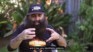 3K views · 39 reactions | Exploring the science connections in your backyard between the plants and trees, soil , microbes, pollinators and birds for #scienceweek | National Science Week | Facebook