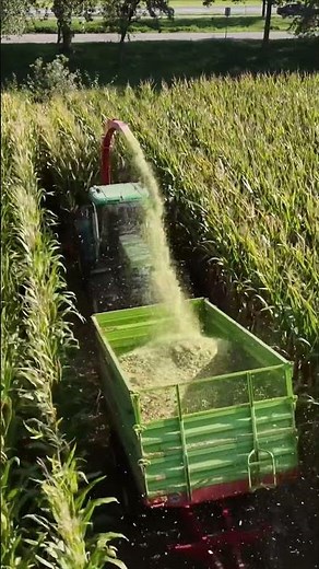 MB Trac 1500 / John Deere 6610 #farming #landwirtschaft #agriculture #mbtrac
