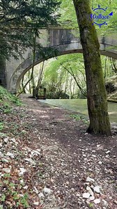 322K views · 3.5K reactions | Nel territorio di Montella, in provincia di Avellino, si trova la suggestiva Cascata del Fascio. Questo bacino artificiale, creato durante il periodo fascista, svolgeva un ruolo cruciale nell'irrigazione della Piana di Folloni e nell'approvvigionamento idrico dell'ente Alto Calore. #viaggiaconwallace #borghidaraccontare #campania | Viaggia con Wallace | Facebook