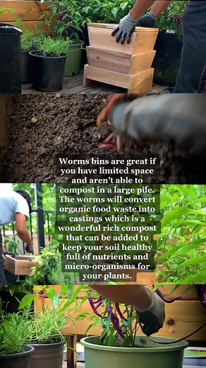 Maximizing Space with Worm Bins for Rich Compost