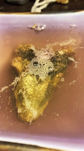 How I clean the coral off my teeth #fyp #treasure #sharktoothhunting #explore