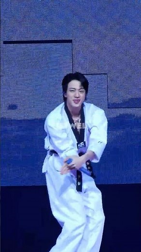방탄소년단 BTS 진 Jin '슈퍼참치' (Super Tuna) 4K 직캠