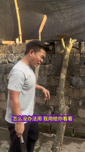 Am I That Lazy? The Hilarious Truth Behind The New Farmer Program