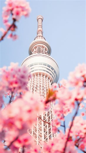 Offsite on Instagram: "For those interested in Offsite Japan, this is a thoughtful overview of how it differs from our regular Offsite programming. Offsite Japan is an entirely different experience—one that has the potential to be truly life-changing and trajectory-shifting. We’re incredibly excited for those who choose to join us. Head to the link or our bio to learn more about the instructors and the courses we offer. #design #japan #industrialdesign #designeducation"