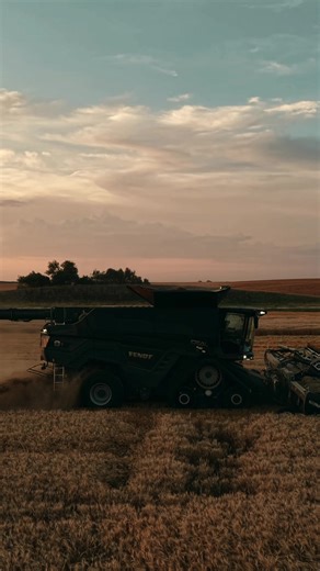 Fendt Harvest 🌾#agriculture #harvest #fendt