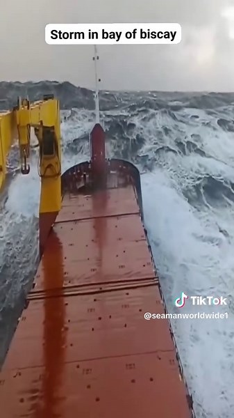 Seaman's Life Onboard: Experiences at Sea