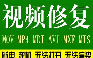 Tenorshare 4DDiG 9.4.5快速批量修复损坏的视频图片文件数据恢复软件