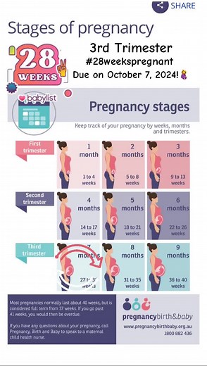 October 2024 Pregnancy Update: 28 Weeks Pregnant and Ready for the Baby!